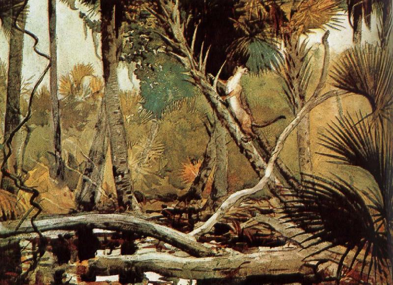 Winslow Homer Florida Jungle Norge oil painting art